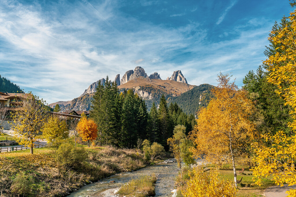 AdobeStock 305920741 AdobeStock 305920741