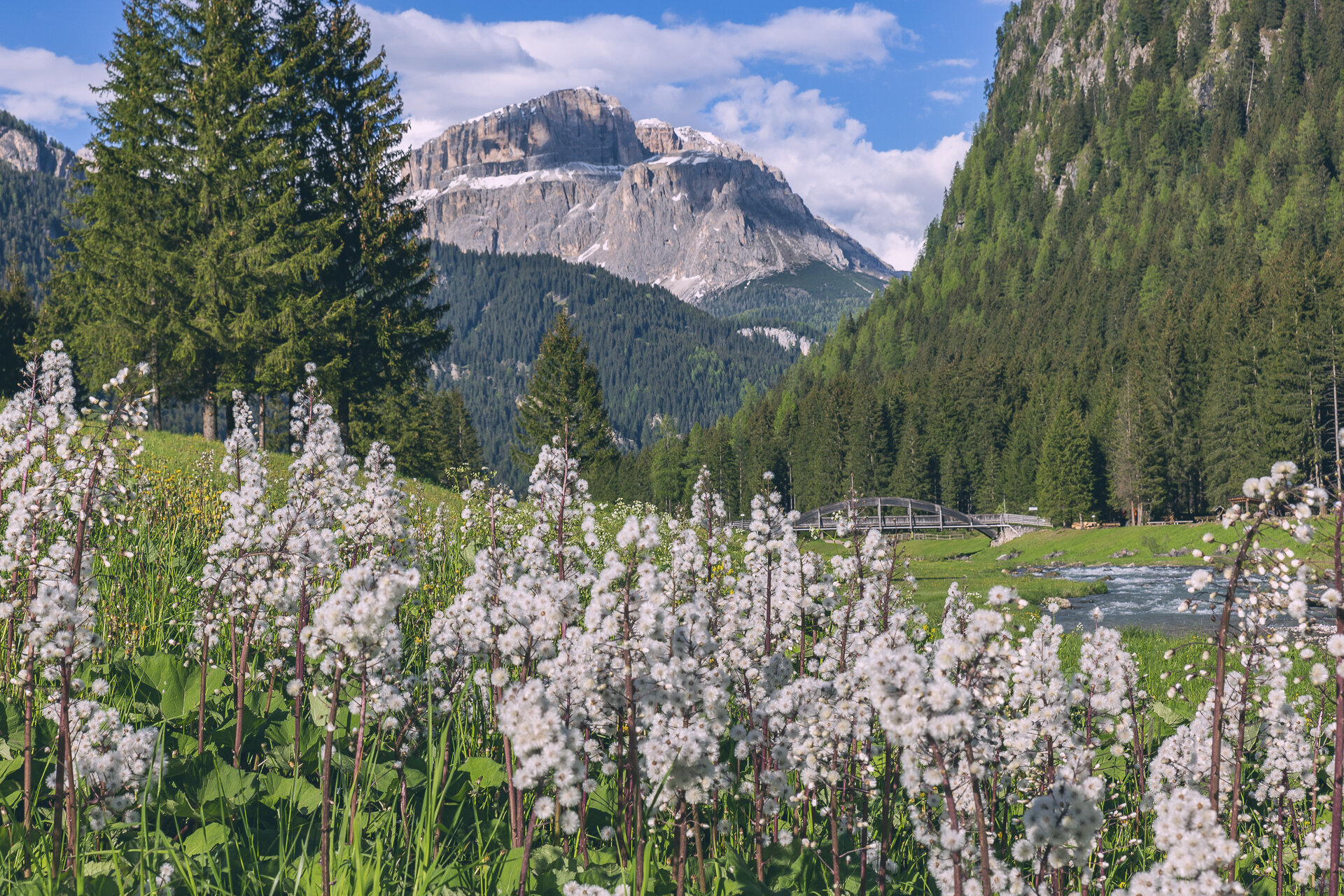 Primavera | © Patricia Ramirez - Archivio Immagini ApT Val di Fassa Primavera a Mazzin in Val di Fassa | © Patricia Ramirez - Archivio Immagini ApT Val di Fassa