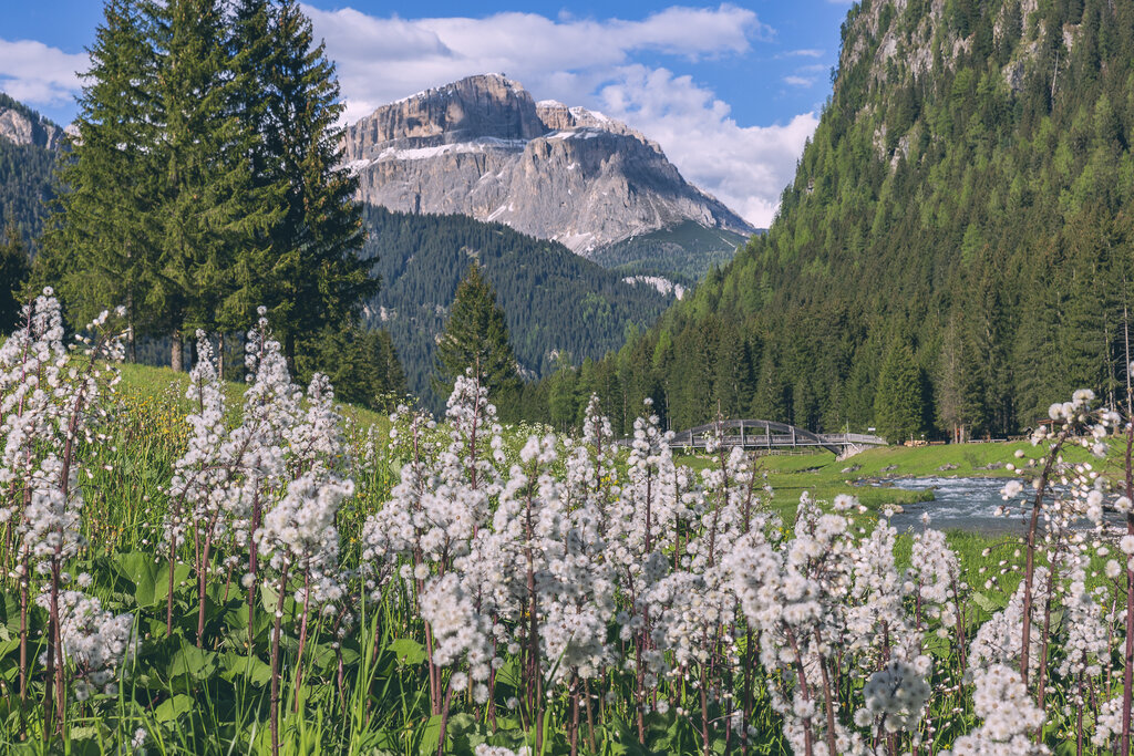 Primavera | © Patricia Ramirez - Archivio Immagini ApT Val di Fassa Primavera a Mazzin in Val di Fassa | © Patricia Ramirez - Archivio Immagini ApT Val di Fassa