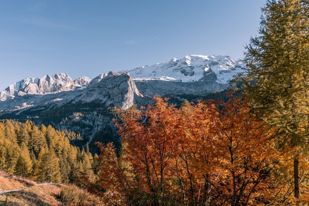 Foliage in Val di Fassa | © Archivio immagini ApT Val di Fassa - Patricia Ramirez Vista sulla Marmolada innevata e foliage autunnale | © Archivio immagini ApT Val di Fassa - Patricia Ramirez