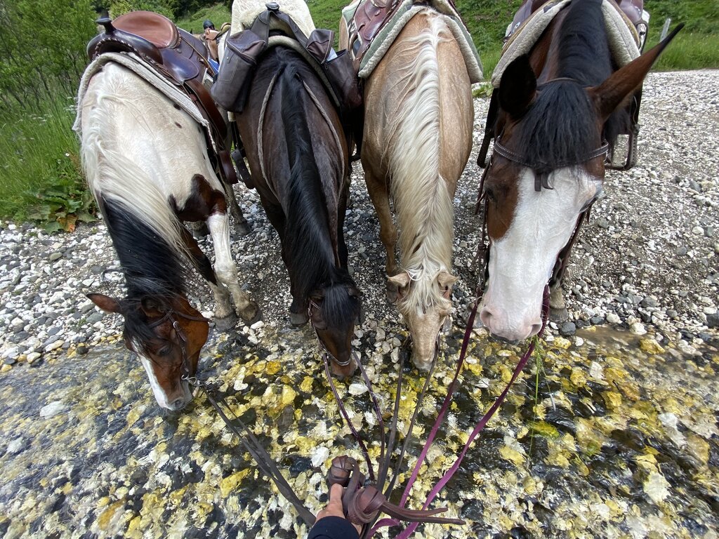 Content Dam Org 3 Images Full Rights Outdoor Equitazione   Maneggi Charlotte Horse Riding Archivio Charlotte Horse Riding Campitello Inv5 Content Dam Org 3 Images Full Rights Outdoor Equitazione   Maneggi Charlotte Horse Riding Archivio Charlotte Horse Riding Campitello Inv5